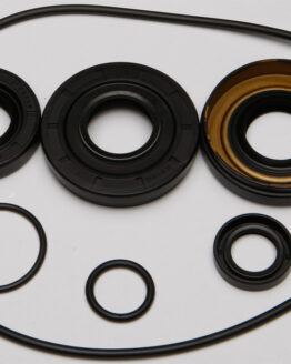Differential Seal Kit