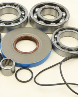 Rear Differential Bearing & Seal Kit