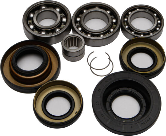 Rear Differential Bearing & Seal Kit