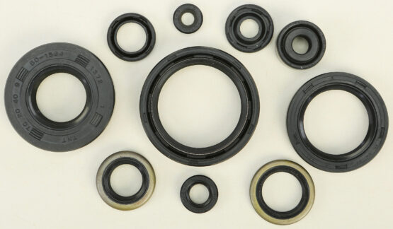 Oil Seal Kit