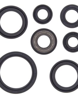 Vertex Engine Oil Seal Kit Fits 01-07 Yamaha YFM660R YXR660