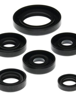 Vertex Oil Seal Kit Fits 00-07 Can-Am DS650