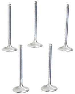 White Diamond Complete S.S. Valve Kit - 3 Intake & 2 Exhaust