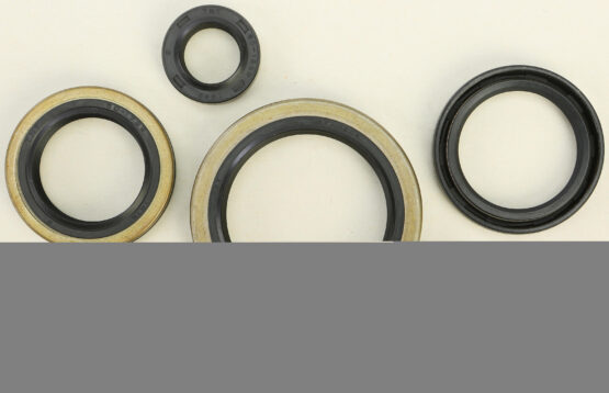 Oil Seal Kit