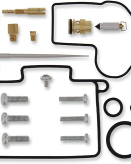 Carburetor Repair Kit