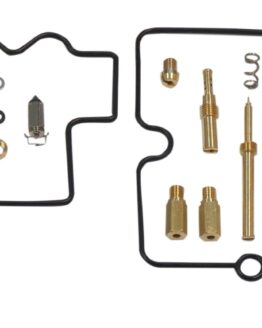 Carburetor Repair Kit