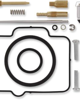 Carburetor Repair Kit