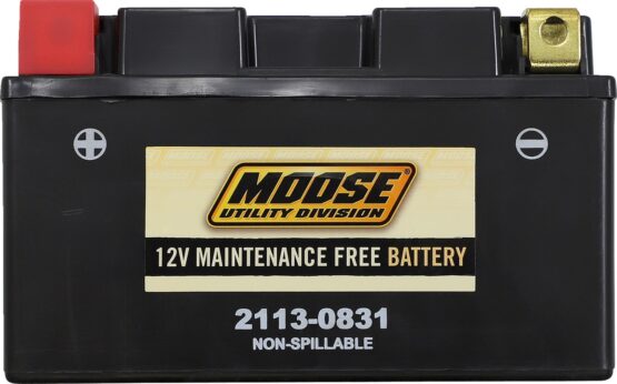 Factory Activated YTZ AGM Maintenance Free Battery 190CCA 12V 8.6Ah - Image 2