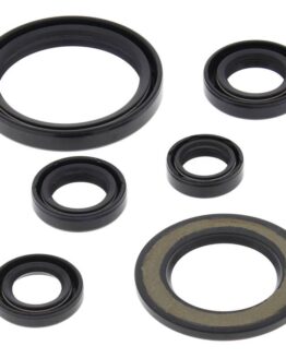 Vertex Engine Oil Seal Kit 822338