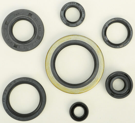 Oil Seal Kit