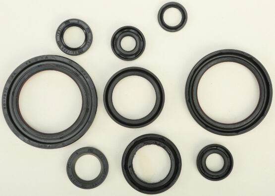 Oil Seal Kit