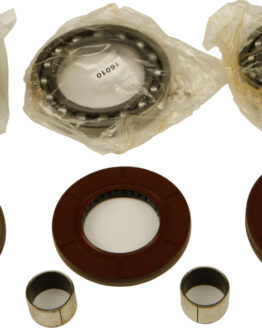 Differential Bearing & Seal Kit