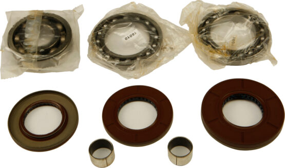 Differential Bearing & Seal Kit