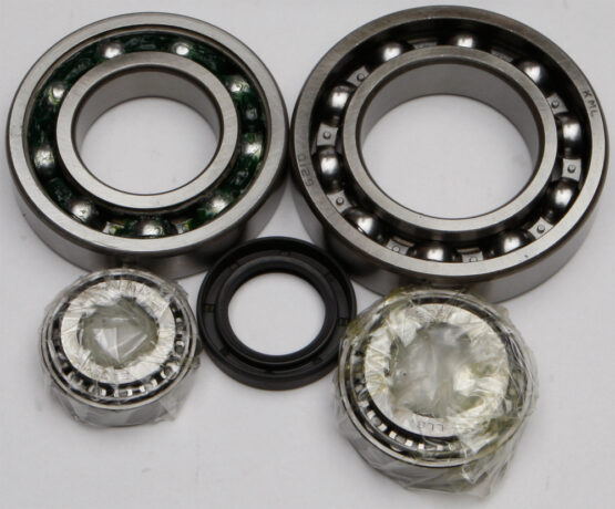 Rear Differential Bearing & Seal Kit