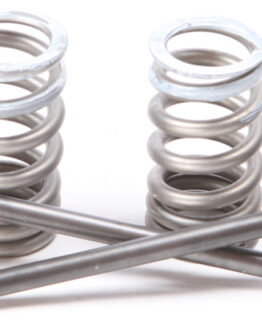 Steel Intake Valve/Spring Kit