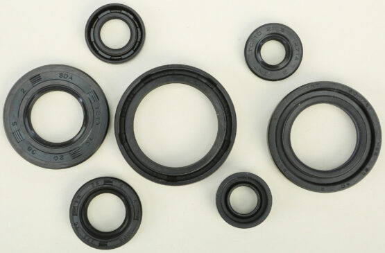 Oil Seal Kit