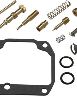 Carburetor Repair Kit