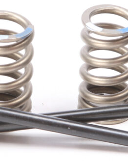 Steel Intake Valve/Spring Kit