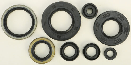 Oil Seal Kit