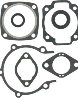 Complete Gasket Kit With Oil Seals