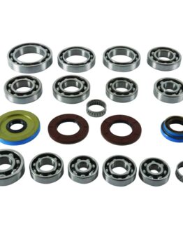 QuadBoss Transaxle Bearing Kit for 17-19 Polaris ACE 500