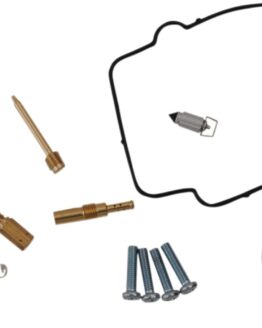 Carburetor Repair Kit