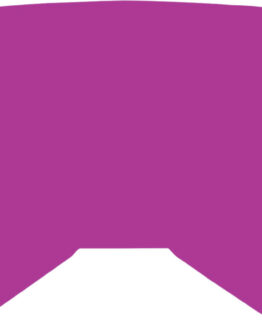 Replacement Pink Mirror Lens w/ Posts For Zone/Focus Goggle