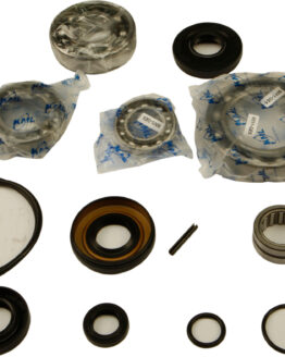 Differential Bearing & Seal Kit