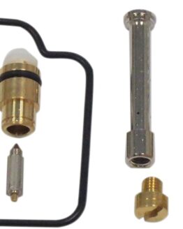 Carburetor Repair Kit