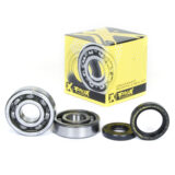 Crankshaft Bearing & Seal Kit
