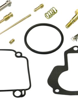 Carburetor Repair Kit