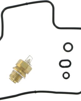 Carburetor Repair Kit
