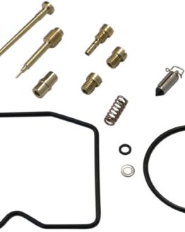 Carburetor Repair Kit