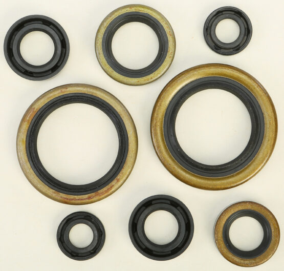 Oil Seal Kit