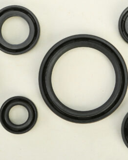 Vertex Oil Seal Kit Fits DRZ400 E/S/SM & KLX400