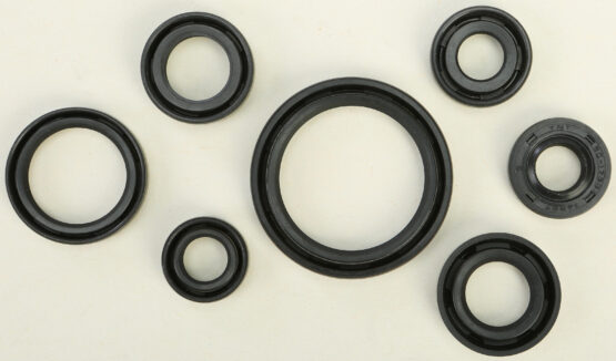 Oil Seal Kit