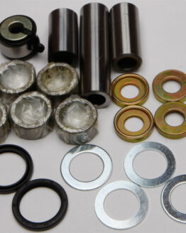 Swing Arm Linkage Bearing & Seal Kit