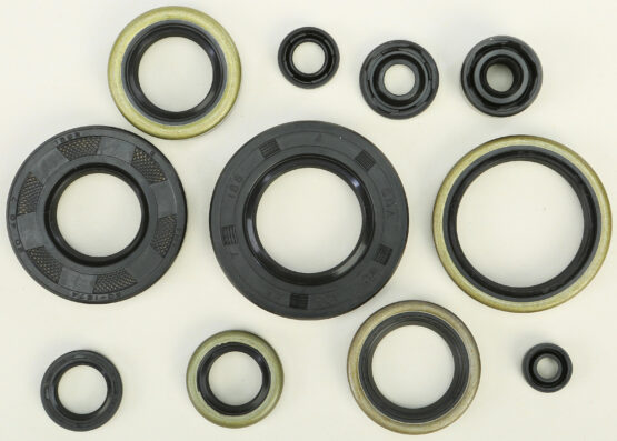 Oil Seal Kit