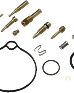 Carburetor Repair Kit