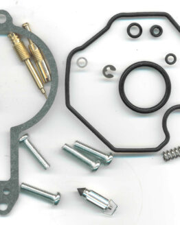 Carburetor Rebuild Kit