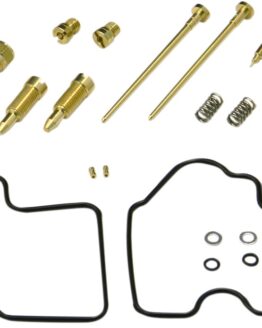 Carburetor Repair Kit