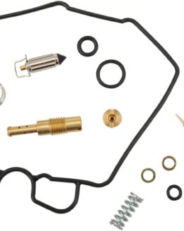 Carburetor Repair Kit