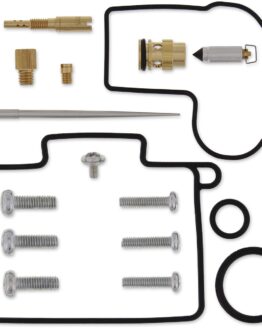 Carburetor Repair Kit