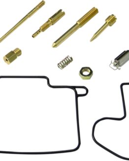 Carburetor Repair Kit