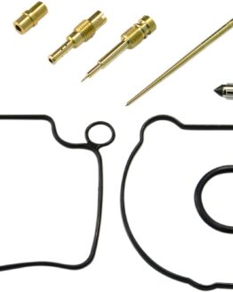 Carburetor Repair Kit