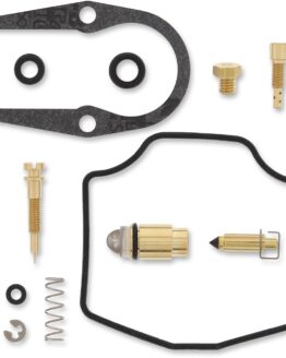 Carburetor Repair Kit
