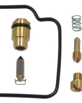 Carburetor Repair Kit