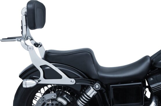 Chrome Fixed Mounts For Multi-Purpose Driver & Passenger Backrest - Image 2