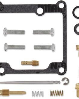Carburetor Repair Kit