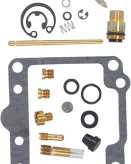 Carburetor Repair Kit